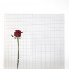 vitrages-verrieres-atelier-artiste-14